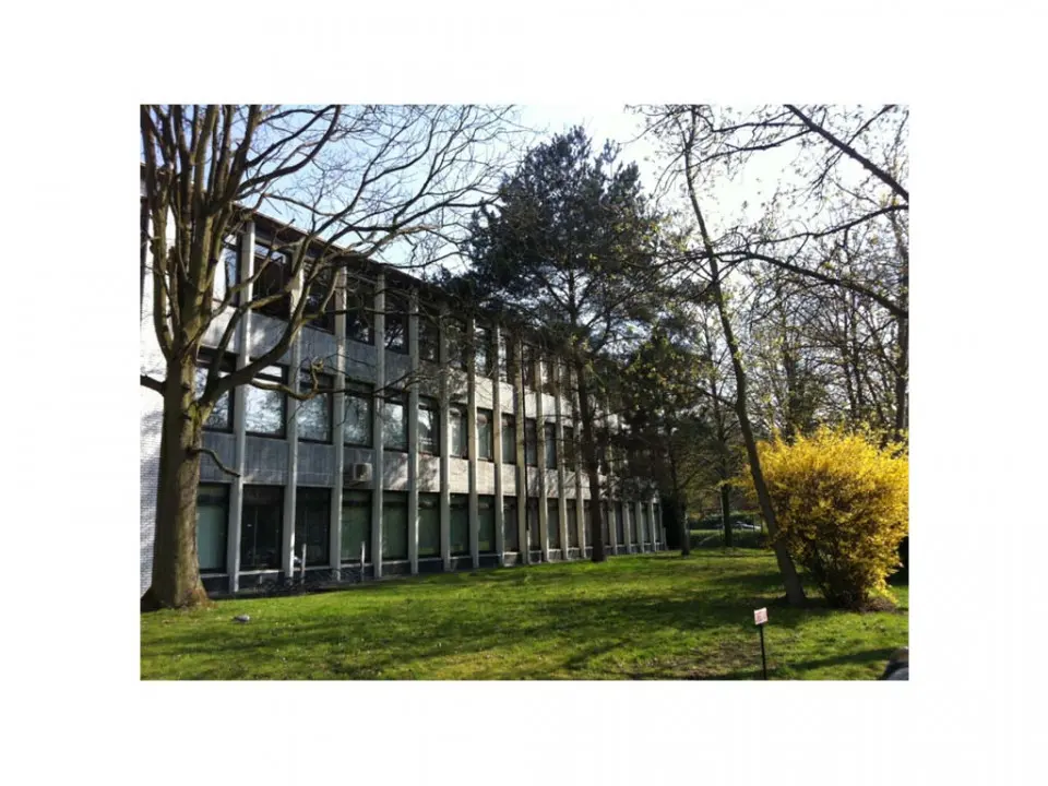 EAFC Evere (Evere), Evere