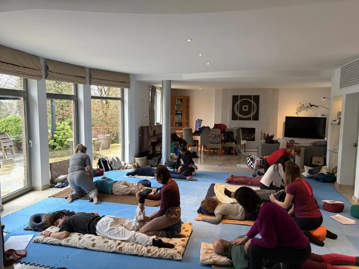 Ecole de Shiatsu Traditionnel de Bruxelles, Woluwe-Saint-Pierre